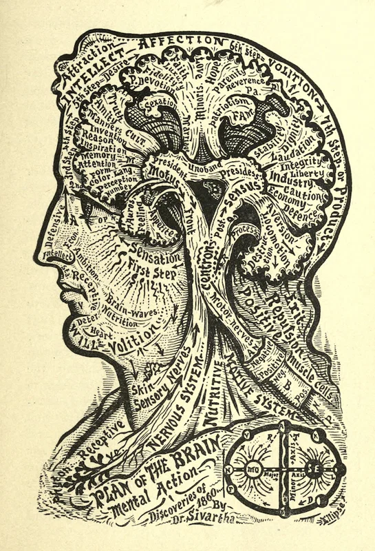 Scan of an 1860 diagram of the parts of the brain, overlaid on a man in profile. Some parts have labels like Manners, Patriotism, Industry, and Aversion.
